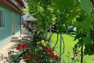 Pension Casa Pestelui