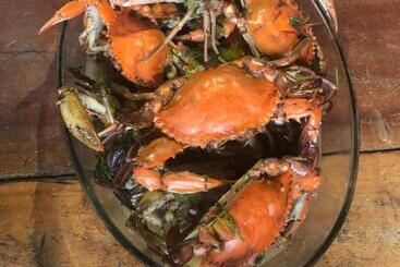 פנסיון Guest House Lua