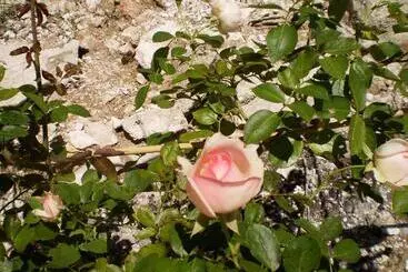 Bed and Breakfast Les Roziers   Roulotte