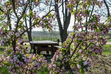 호텔 Bikavölgyi Panzió