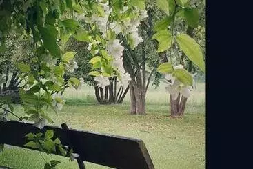 Pensione Maison Blanche