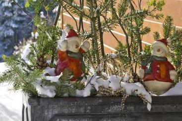 بيت ريفى Bauernhof Drei Finken