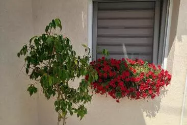 Turistihuoneistot Leda Apartmani