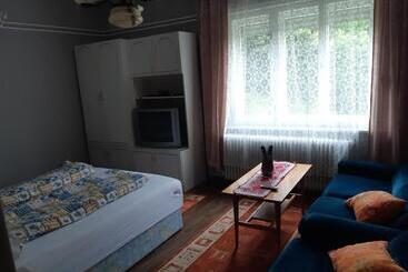 ツーリストアパートメント Laciház