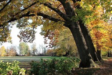 شاليه Agriturismo Il Torrione