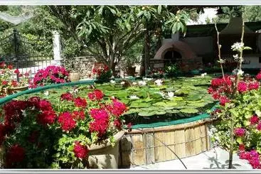 Bungalows Olive Tree Cottages