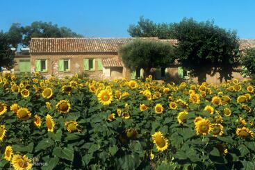 Bed and Breakfast Il Canto Di Kokopelli Country Houses