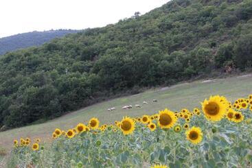 Agriturismo Roccagelli