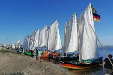 Turistihuoneistot O Cantinho Entre A Ria E O Mar   With Hot Water Pool All Year Round