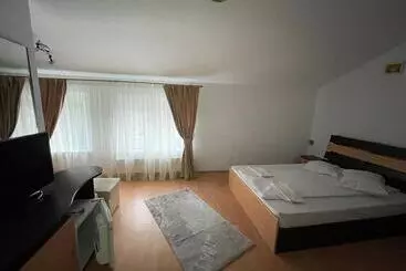 Pensiunea Izvoare Olanesti 3