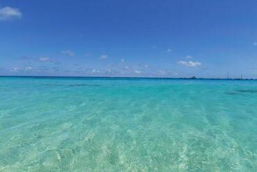 Branco Suites   Rooms & Holiday Apartments