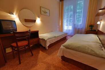 Отель Lázeňská Léčebna Mánes