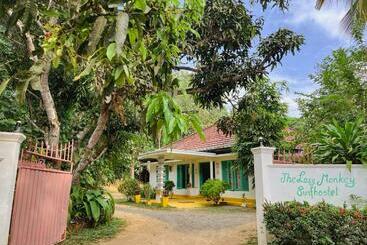 Общежитие Lazy Monkey Sri Lanka