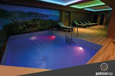 Apartman Petica Kop A8 Kopaonik