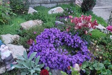 膳宿费 Anda Vendégház