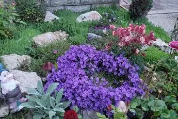 Pension Anda Vendégház