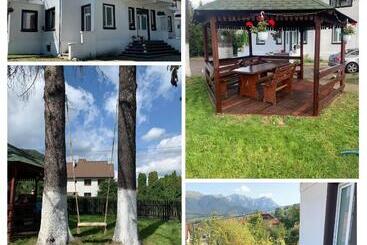 پانسیون Vila Codreanu