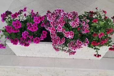 Pensionat Reședința Prințeselor