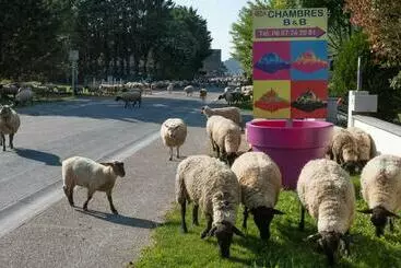 Bed and Breakfast Mon Saint Michel