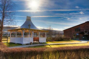 פנסיון Domeniul Dracula Daneș