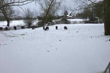 관광객 아파트 Simpers Drift