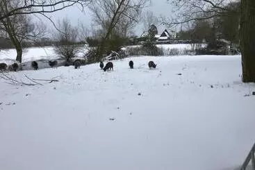 ツーリストアパートメント Simpers Drift