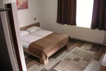 Pensjonat Casa De Oaspeti Liviu