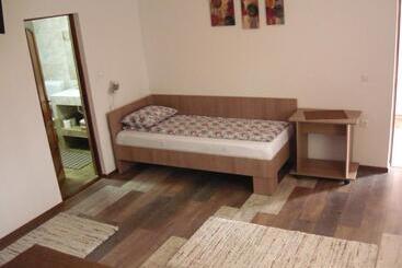 پانسیون Casa De Oaspeti Liviu