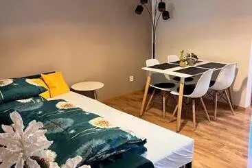 アパートホテル Apartmány Koněvova