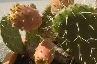 Bea S Bed & Breakfast