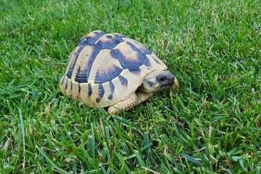 Favola Exclusive B&b