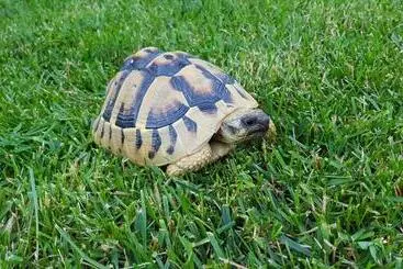 Favola Exclusive B&b