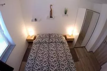 Pensiune The Jungle Apartments And Rooms