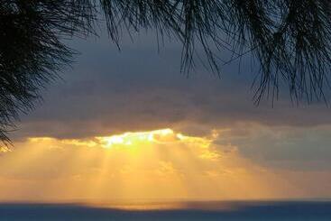 Pensió Villa Le Sud