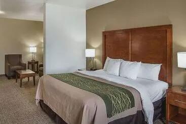Hotelli Comfort Inn Midland South I20