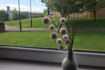 ツーリストアパートメント Walker Suite No 60   Donnini Apartments