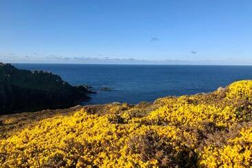 Pensão Warwick House