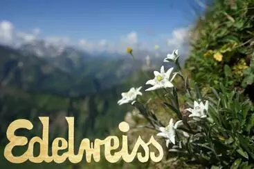ツーリストアパートメント Edelweiss   Bayerischer Hof