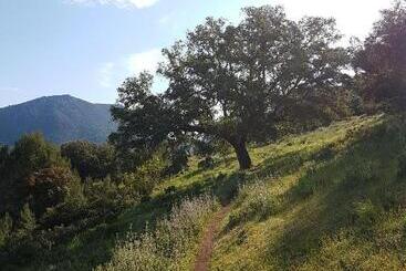 Turistihuoneistot El Sueño Del Bosque