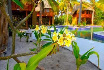 هتل Tortuga Village