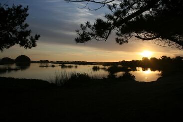 Hotel Posada Del Parque Lodge