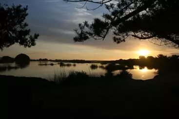 ホテル Posada Del Parque Lodge