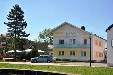 ホテル Gasthof Und Pension Haunschmid