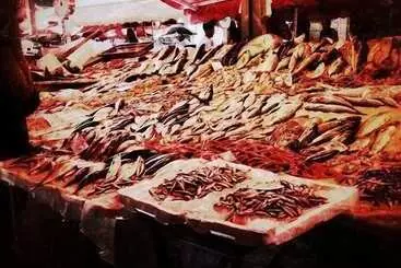 Ostello Degli Elefanti