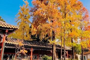 Otel Holiday Inn Express Shunde Daliang, An Ihg