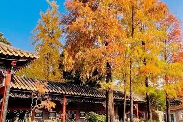 ホテル Holiday Inn Express Shunde Daliang, An Ihg