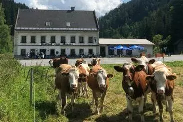 Hotel Gasthof Zum Maurer