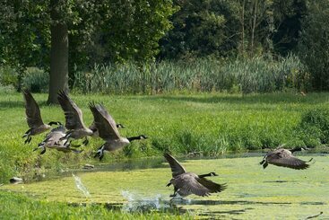 B&b Park7 Wavre   Leuven