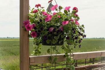 Bed and Breakfast Beleef Het Noorden