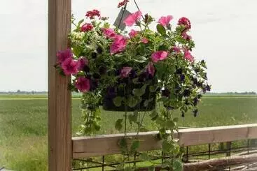 Aamiaismajoitus (B&B) Beleef Het Noorden